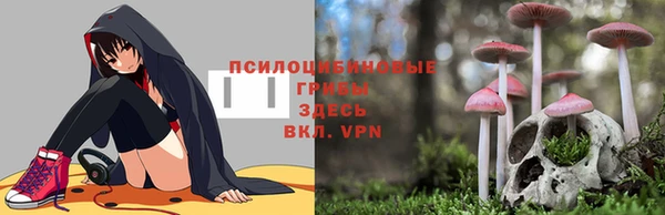 spice Алексеевка