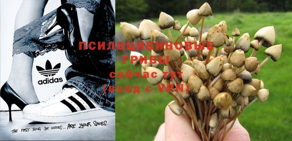 spice Алексеевка