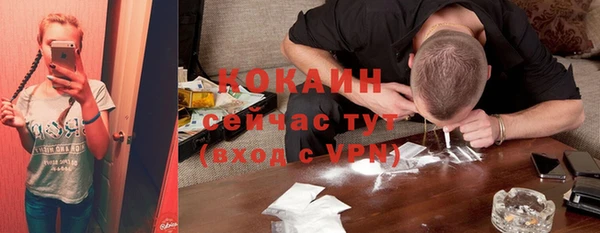 mdpv Богданович