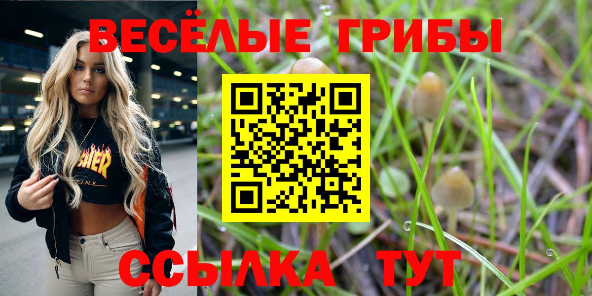 Галлюциногенные грибы Psilocybine cubensis Волхов