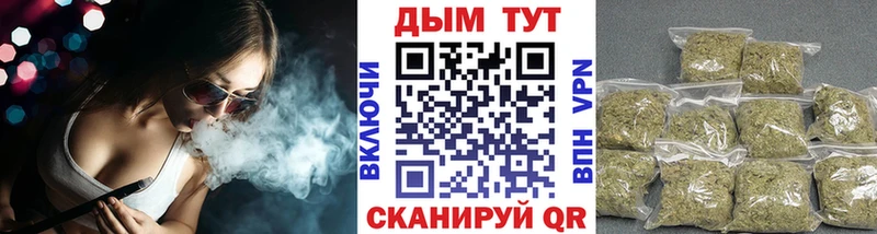 продажа наркотиков Волхов Канабис сатива